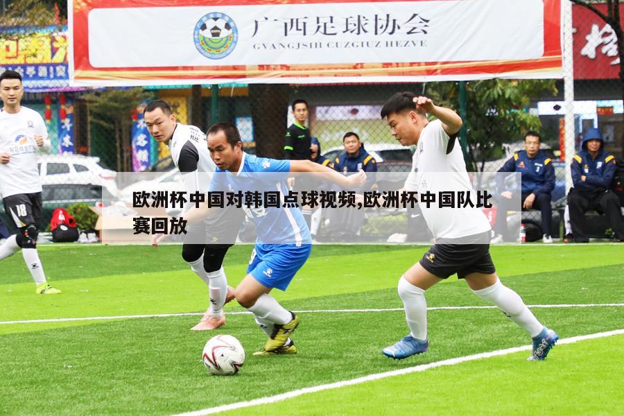 欧洲杯中国对韩国点球视频,欧洲杯中国队比赛回放