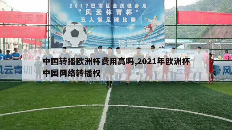 中国转播欧洲杯费用高吗,2021年欧洲杯中国网络转播权